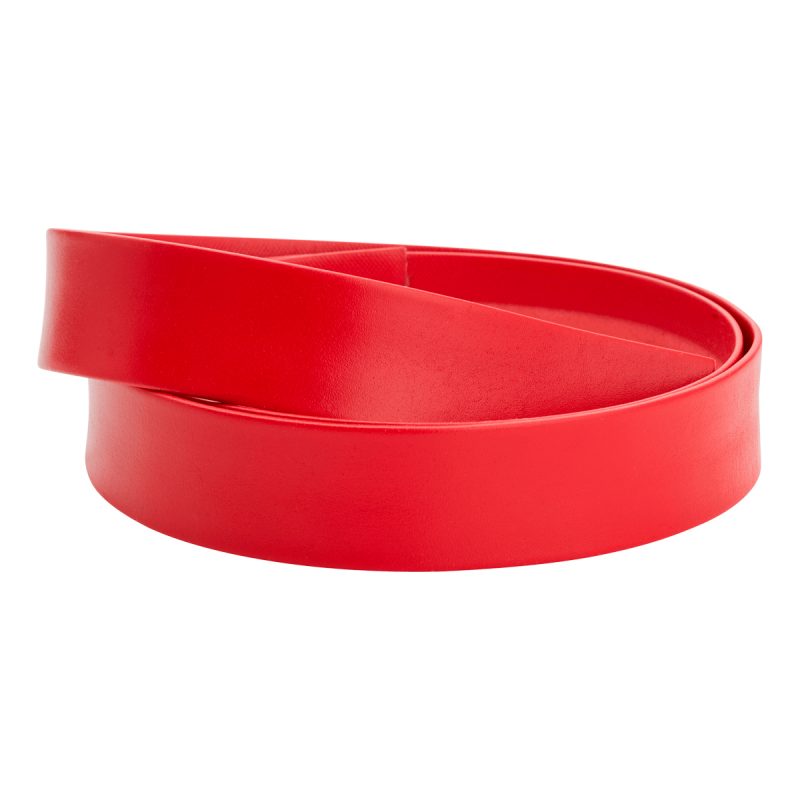 540007 - Skinnlist, raud